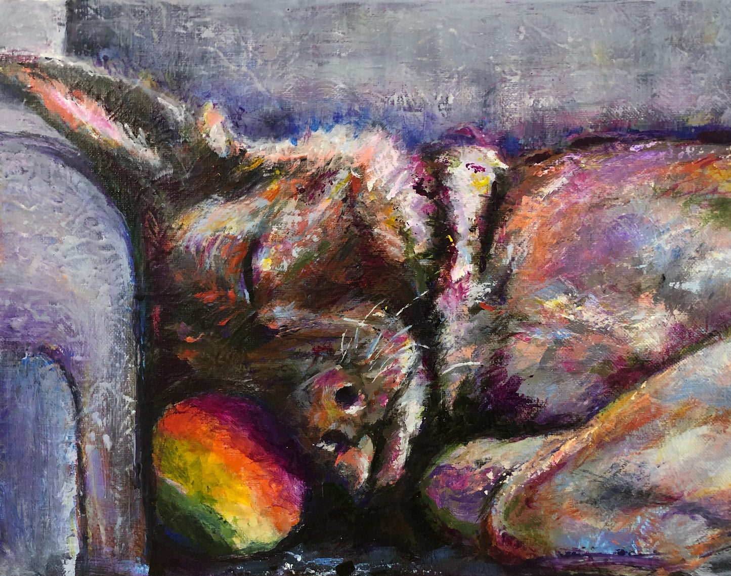 Rainbow Dreaming