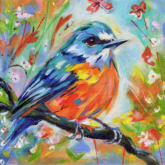 Spring Bluebird